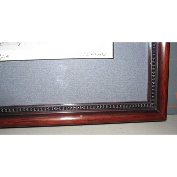 Sue Colemans "The Eagle" Framed Art Print - Picture 5 of 12